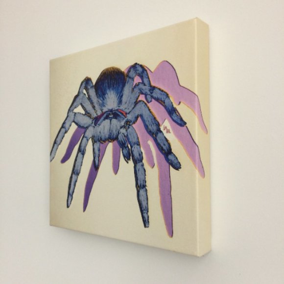Tarantula - Original Wall Art print on 12 x 12 canvas - Picture 3 of 6